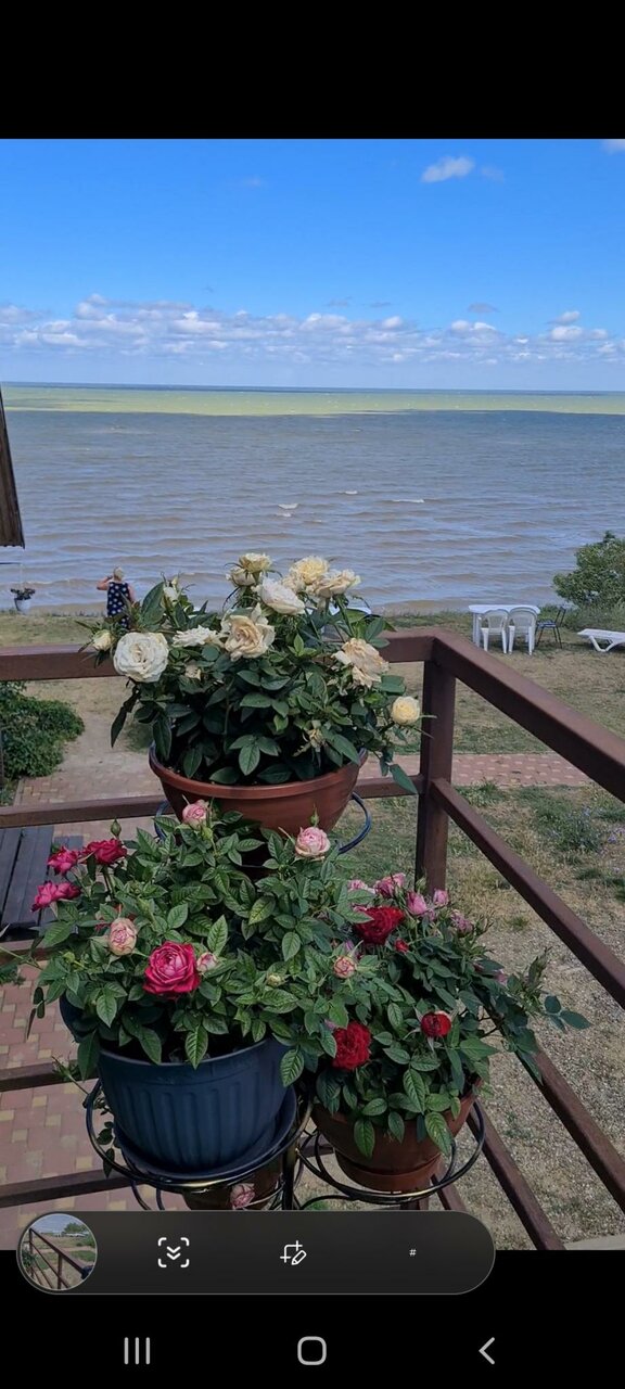 Гостиница Приморская Ейск-55