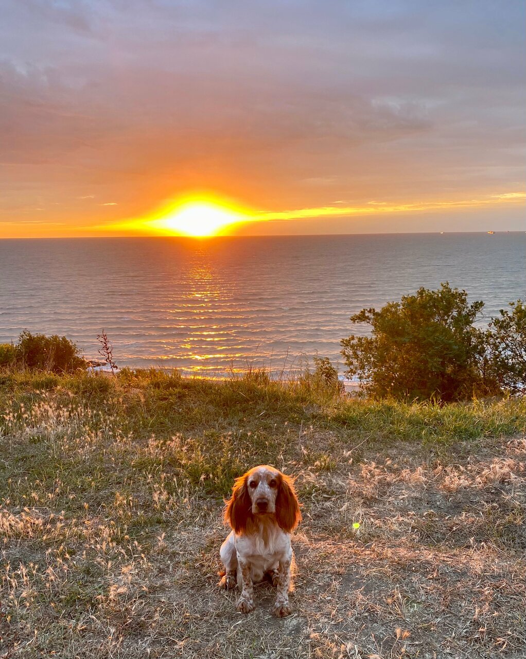 Гостиница Приморская Ейск-193