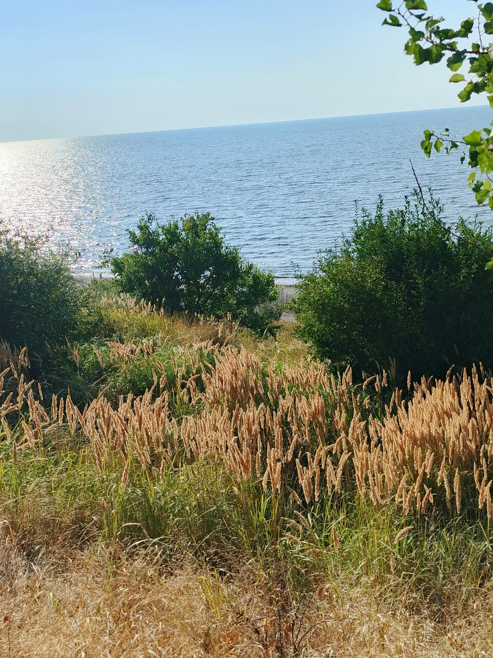 Гостиница Приморская Ейск-210