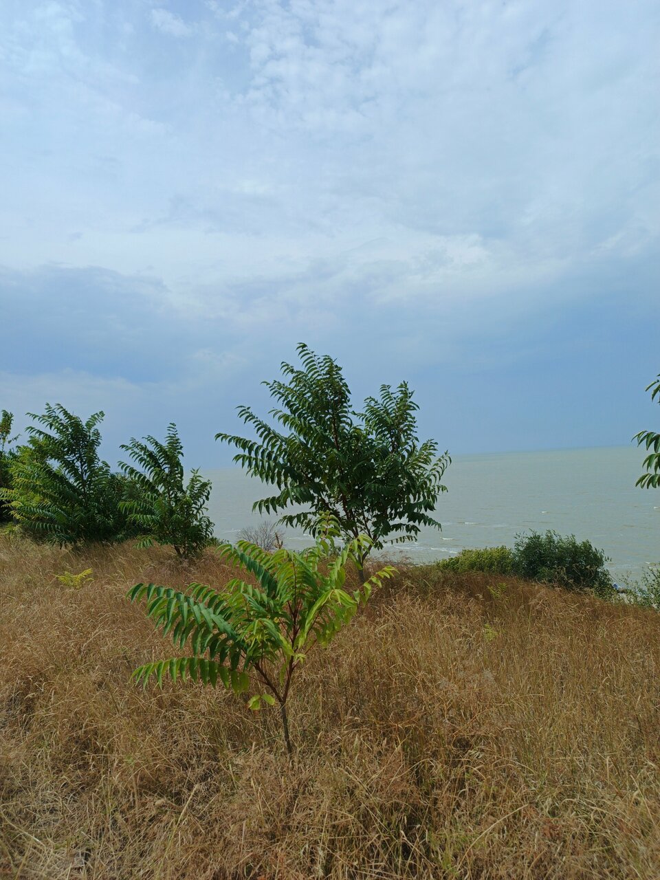 Гостиница Приморская Ейск-195