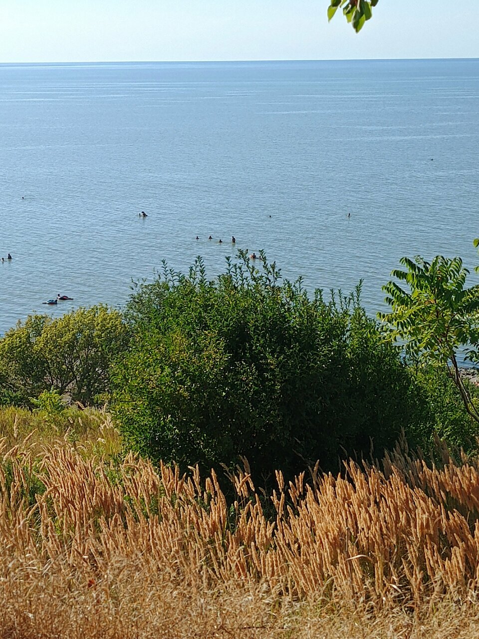 Гостиница Приморская Ейск-232