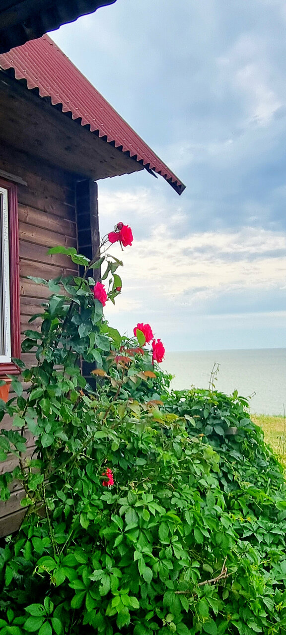 Гостиница Приморская Ейск-41