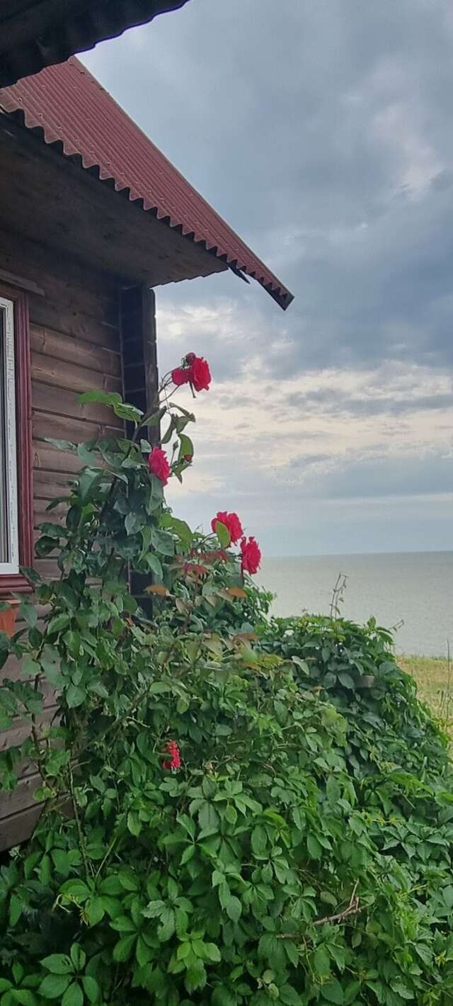 Гостиница Приморская Ейск-115