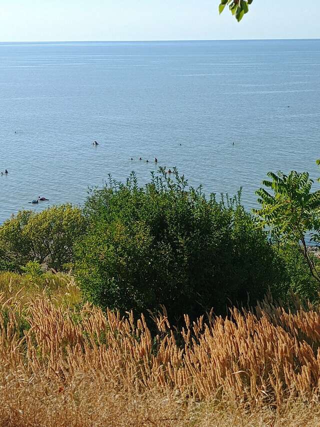 Гостиница Приморская Ейск-231