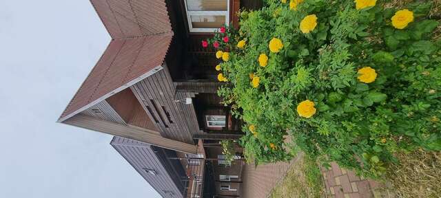 Гостиница Приморская Ейск-83